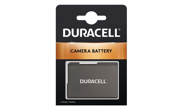 D4300 Batteri